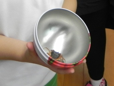 DSCN6907
