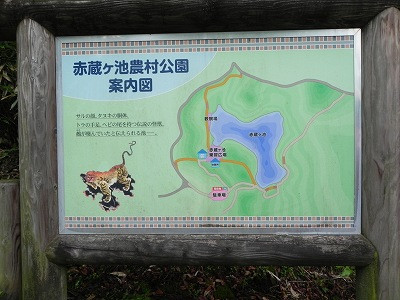 03 (3)