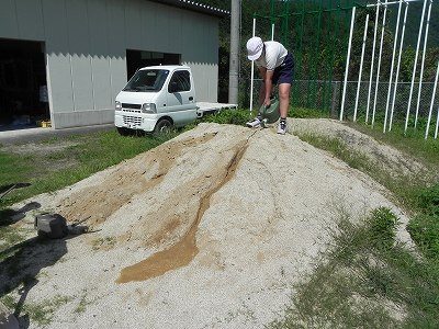 04 (1)