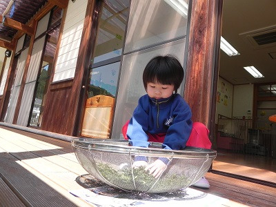 DSCN9501